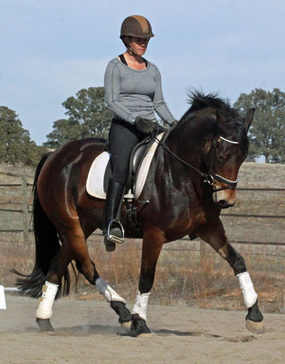 Dressage trainer photo