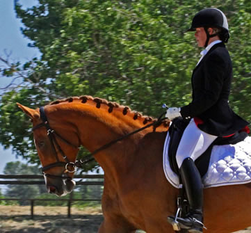 Dressage trainer photo